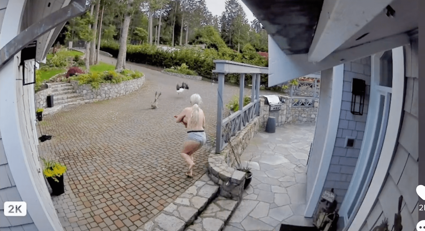 breastfeeding mom saves goose, pet goose, tiktok
