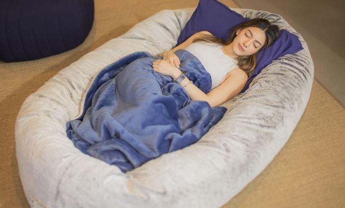 plufl bed, human dog bed, gcustom dog bed