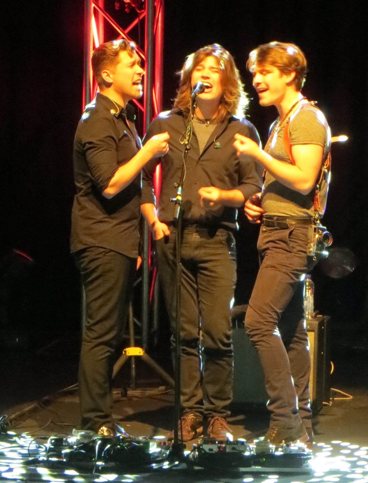 hanson, the bee gees, too much heaven