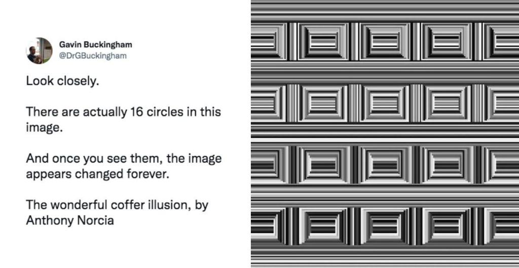 screenshot of a comment; an optical illusion made of gray lines