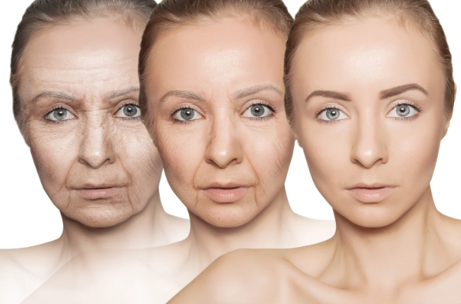 time, neuroscience, david eagleman