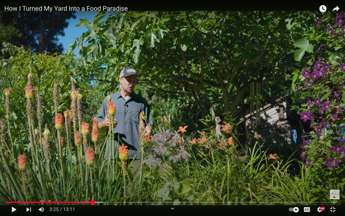 flower garden