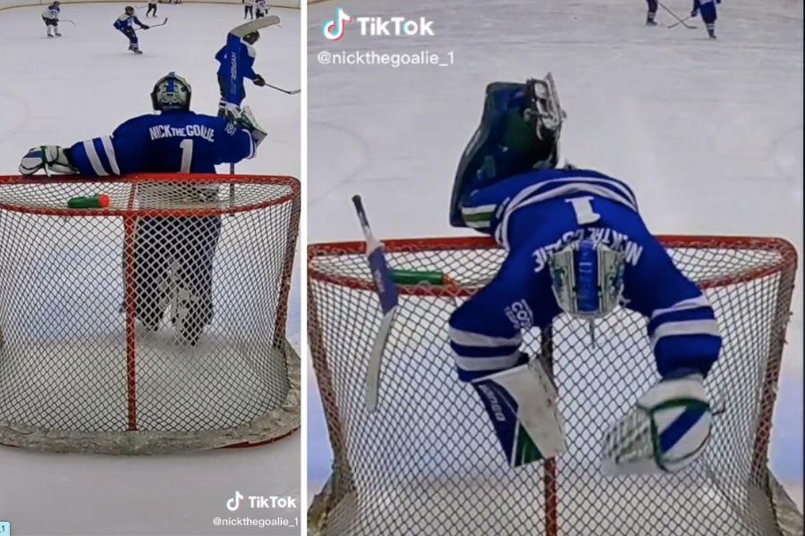 screenshot of hockey goalie