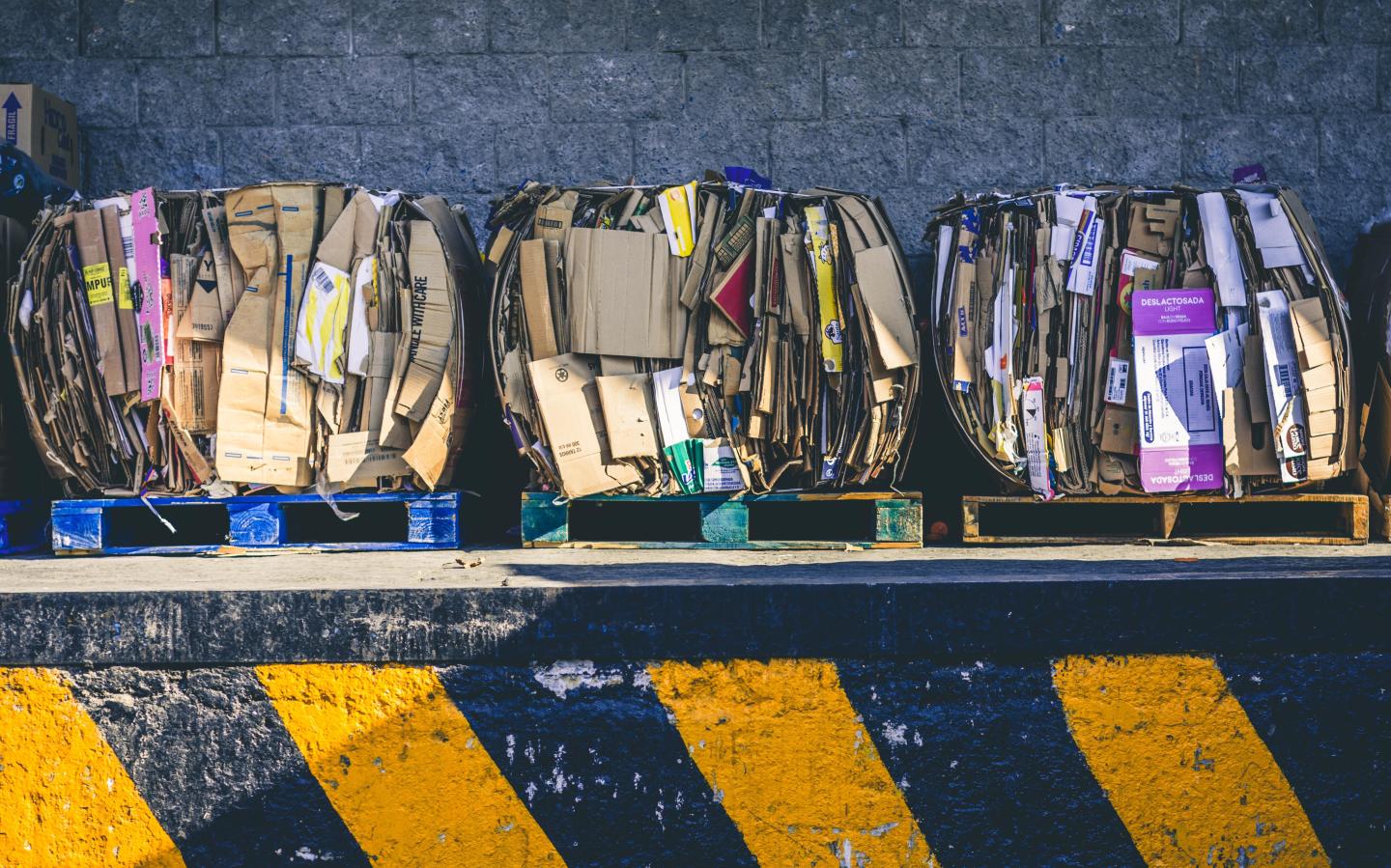 mechanic finds canvases in dumpster worth millions