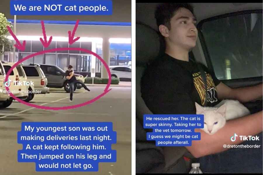 Screenshot of person walking to car; man holding cat