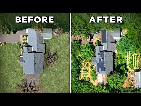 before and after images of a yard from above
