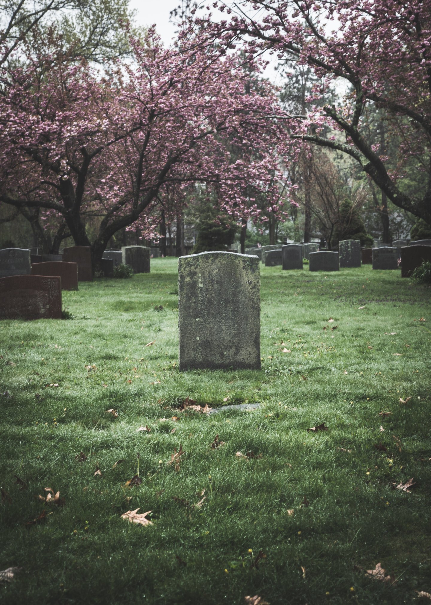 A graveyard