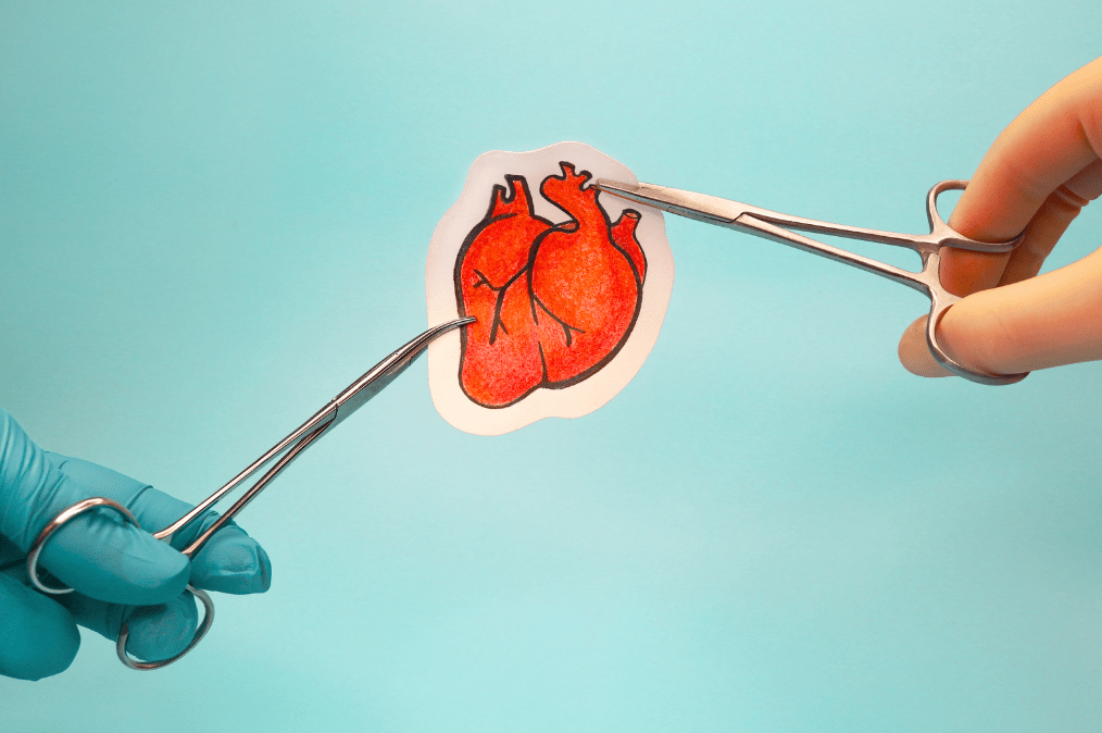 Two hands holding up a human heart sticker