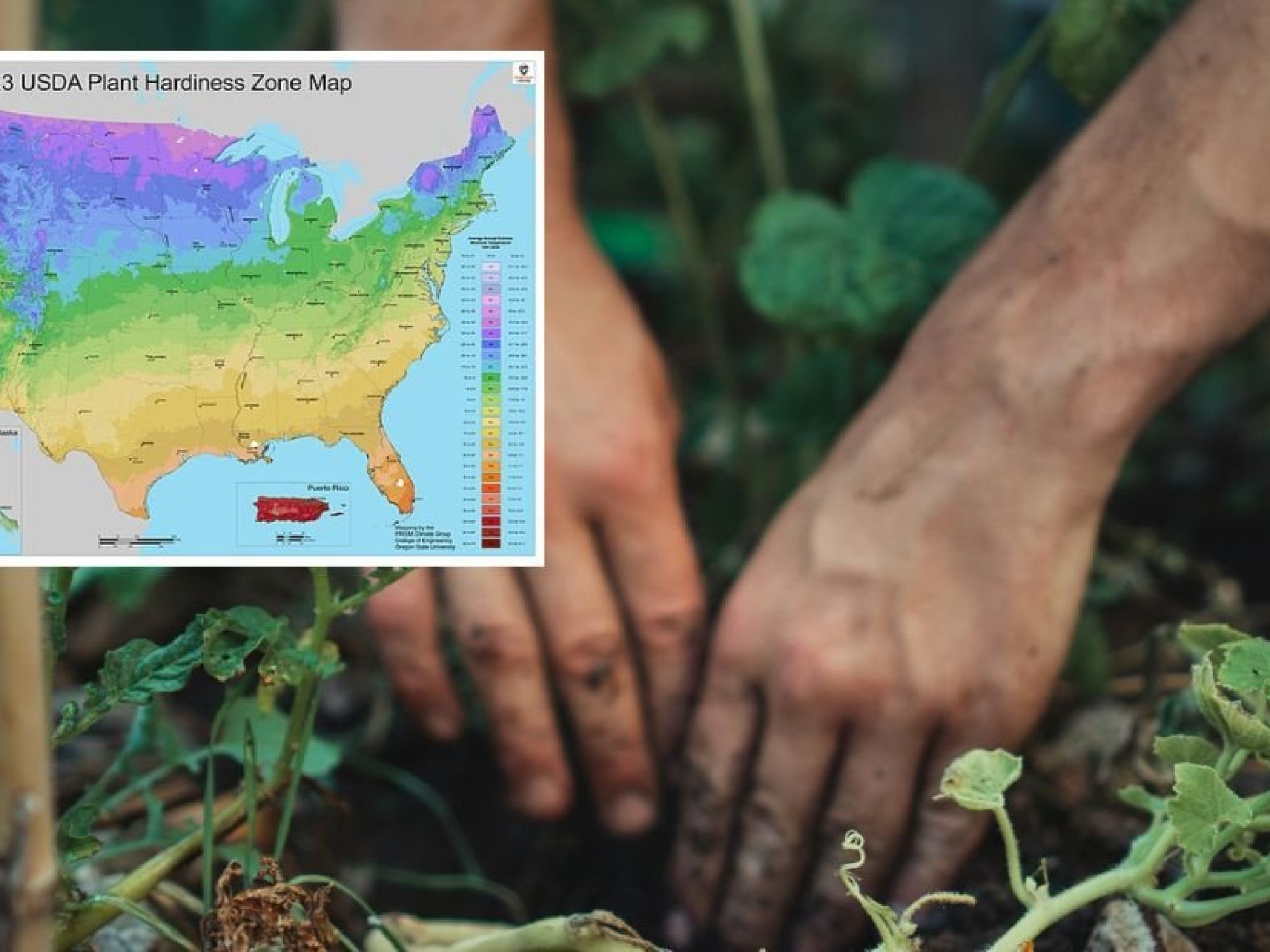 USDA updates its Plant Hardiness Zone Map for gardeners - Upworthy