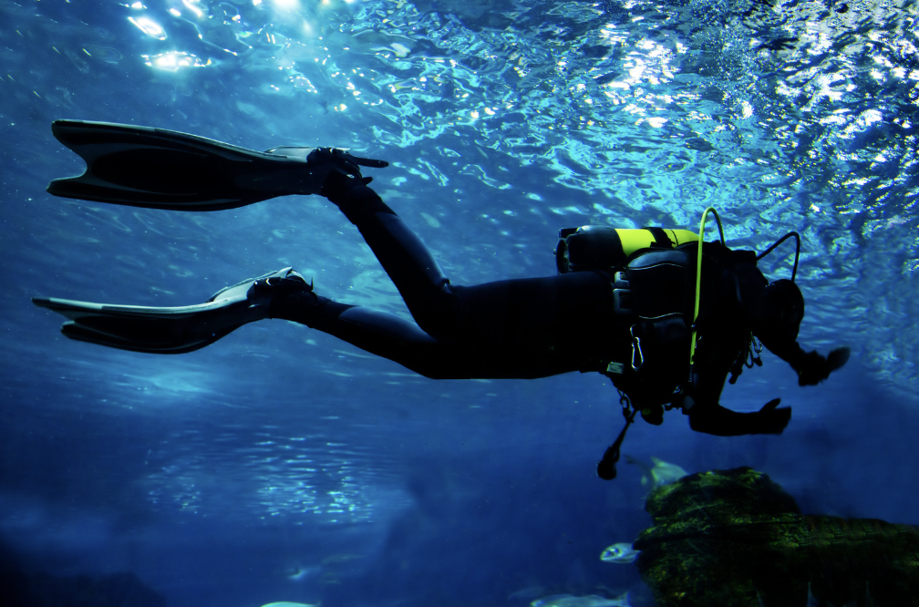 A scuba diver in the ocean
