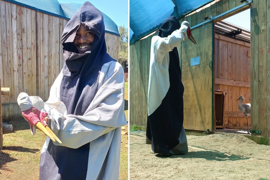 man dressed in a crane costume