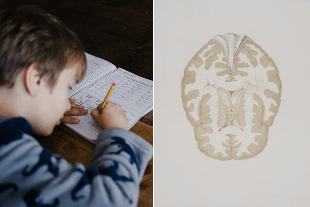 small boy writing in a workbook; a brain scan