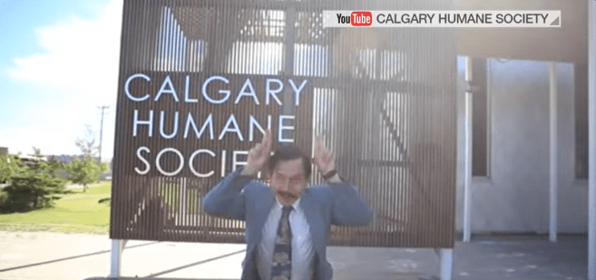 man in suit pantomimes cat ears in front of sign for Calgary Humane Society