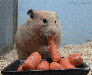 Carrots