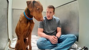 dog rescue; shadow moon; Rocky Kanaka; animal shelter; animal rescues