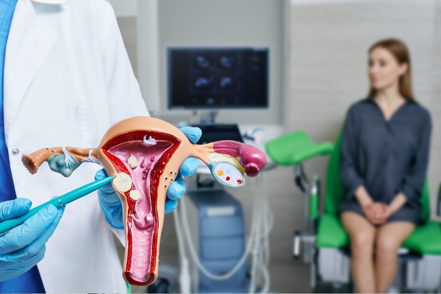 doctor presenting a model of a uterus while a woman sits on a medical chair in the background