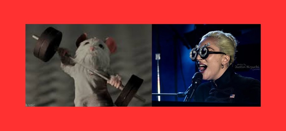 Lady Gaga, pip, SNL, Gaga