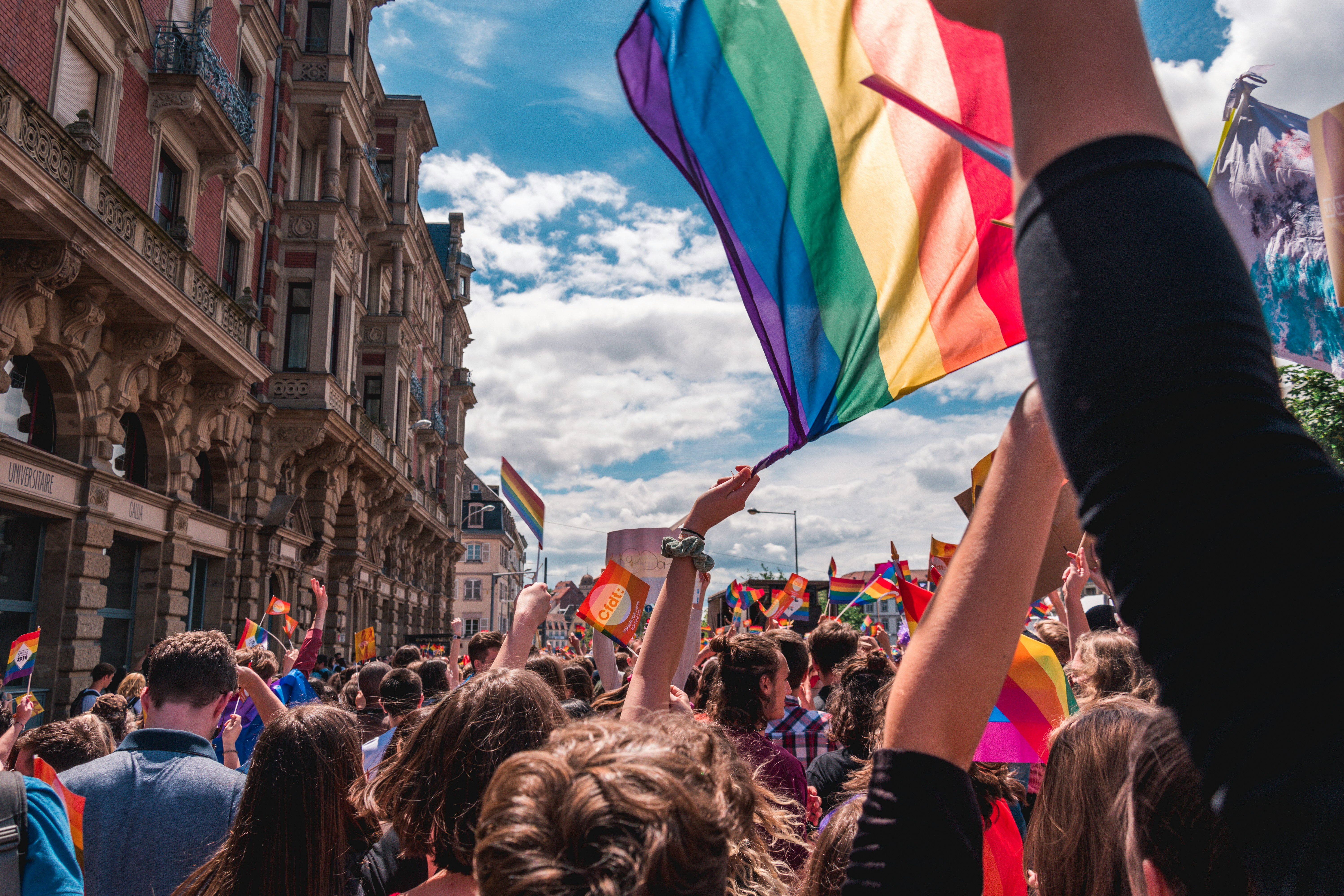 crowd, activism, LGBTQ, pride, protests