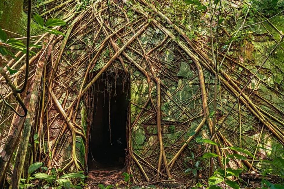goa, india, hut, nature photography