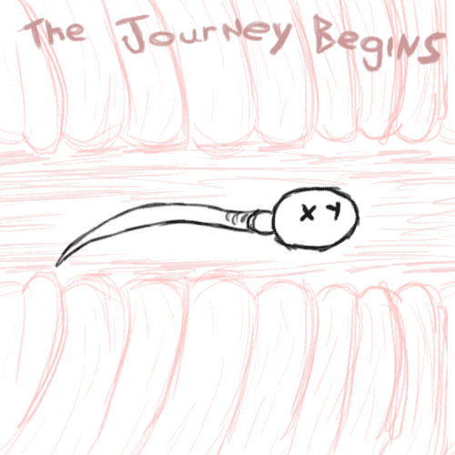 sperm, sexual health, fertility, infertility, men, men's health, mens fertility, sex