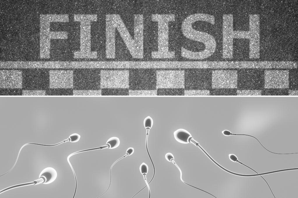 sperm, sexual health, fertility, infertility, men, men's health, mens fertility, sex