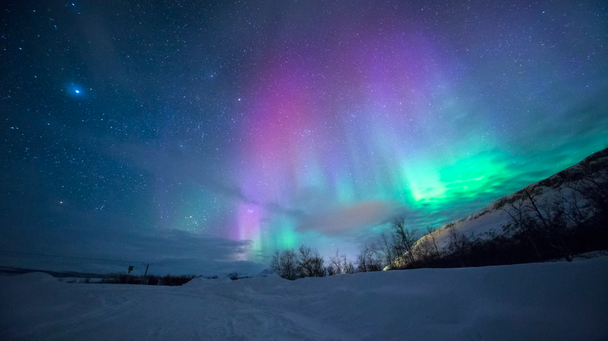 norway, northern lights, nature, beautiful night sky, lights in sky, snow, 