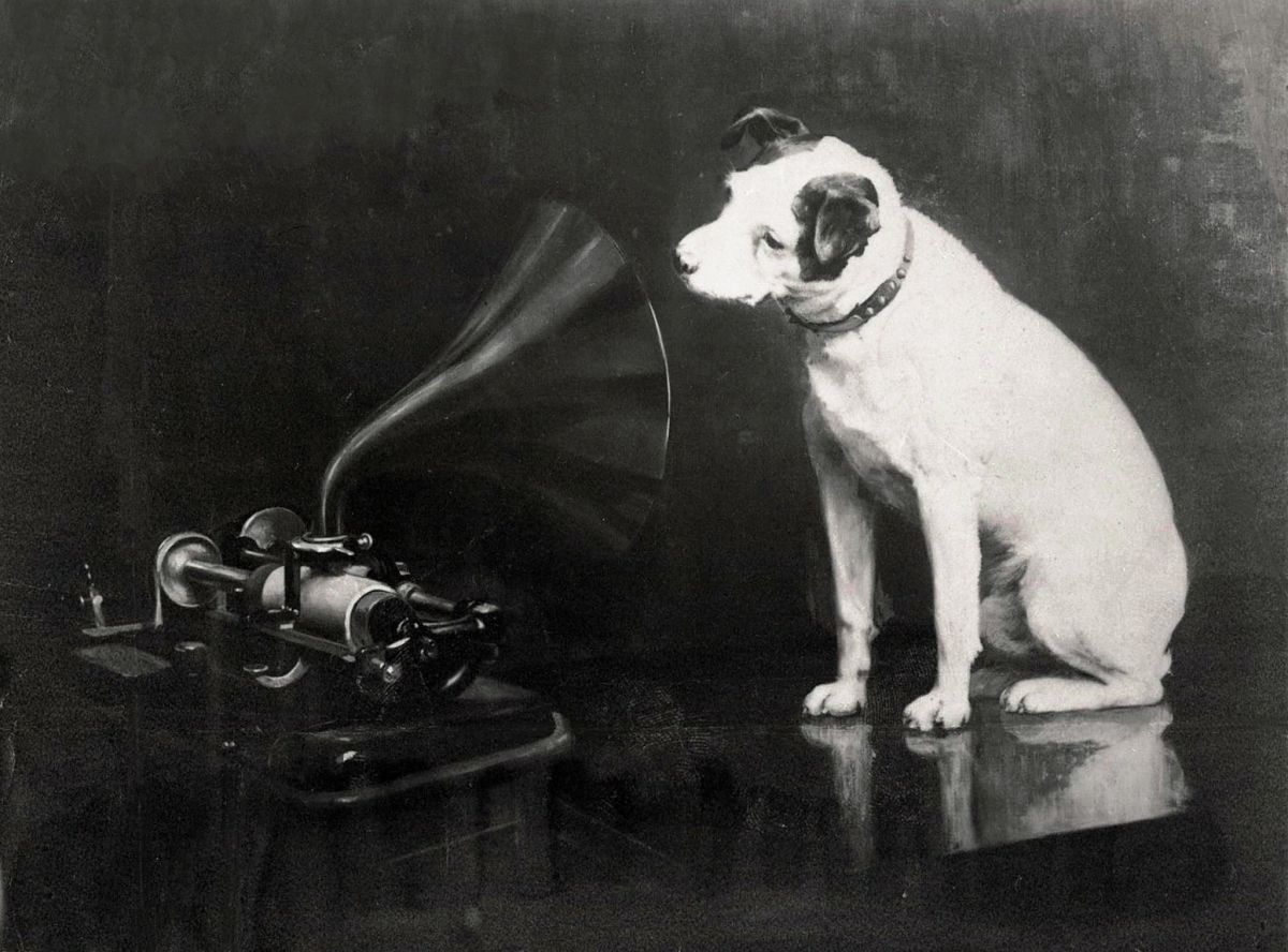 Dogs are listening in on your conversations more than you might think, according to research