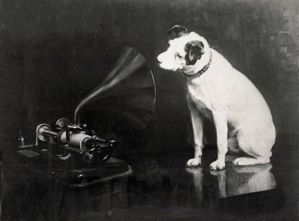 dog, listening, phonograph, language