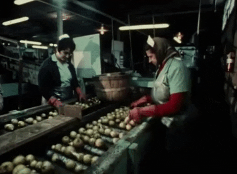 assembly line, factory work, manufacturing, workers, factory