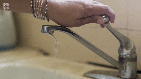 hot water, rinse, cleaning, washing, dishes