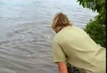 Steve Irwin, Crocodile Hunter, australia, wildlife, conservation