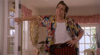 ace ventura, hawaiian shirt, jokes, laughs, humor, funny