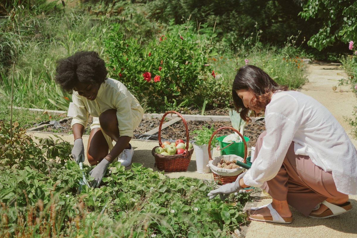 helping in the garden, volunteering, being helpful, contributions journal