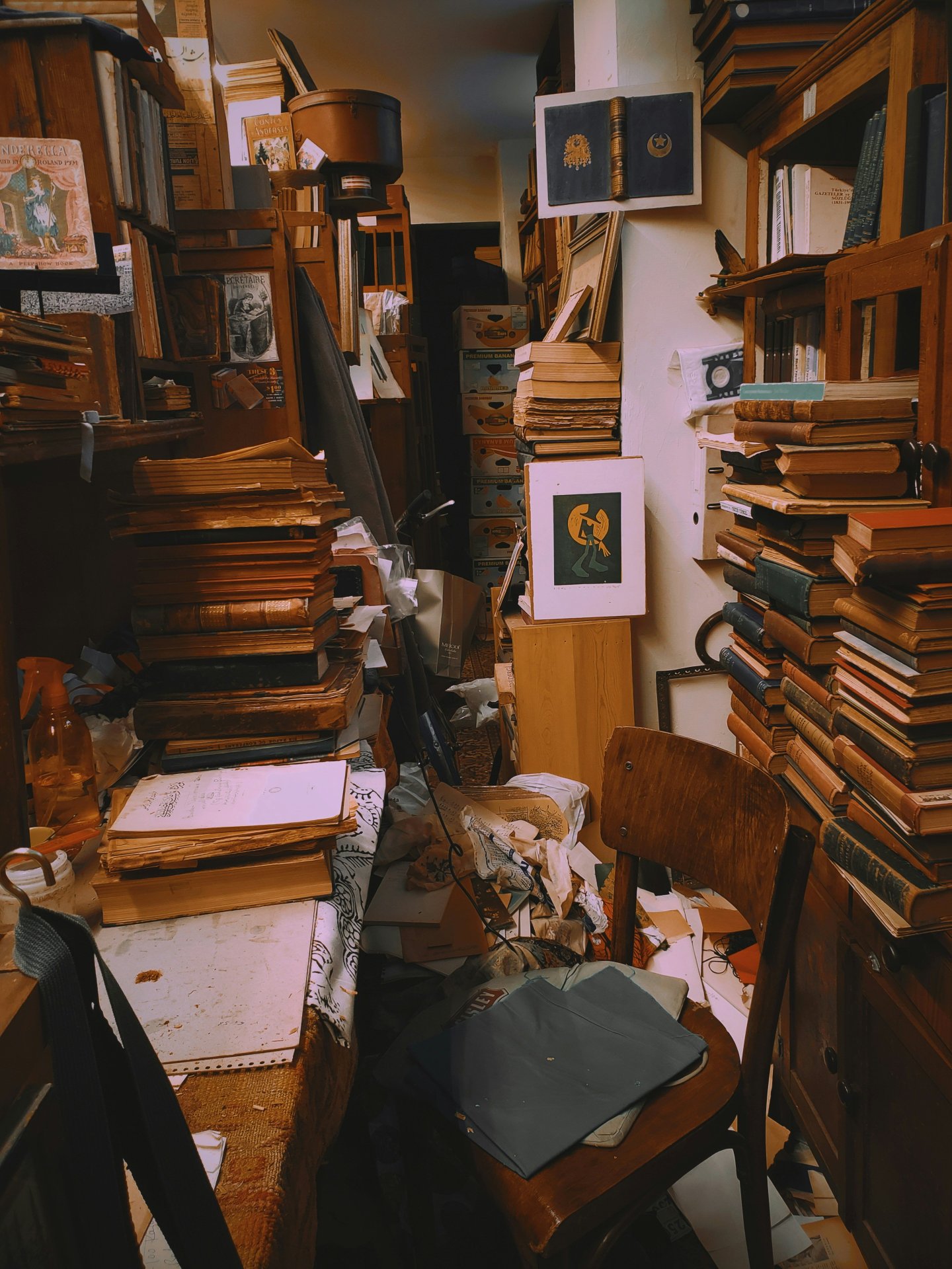 hoarder, clutter, stuff, mental health, hoarding