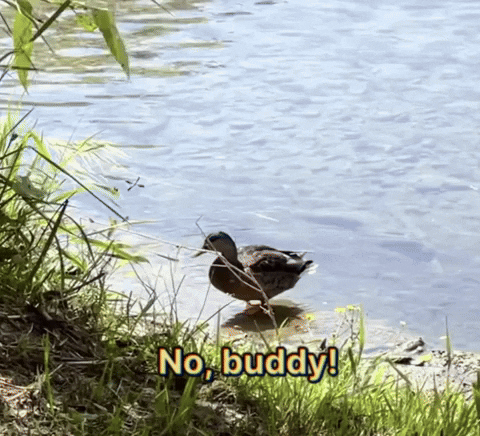 summer jobs, jimmy fallon, summer jobs near me, job, late night, funny, bad jobs, work humor