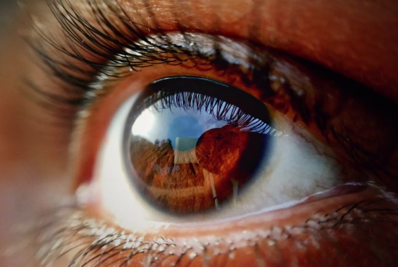 retinas, eyes, oz, retina scan, retina cones, vision, colors