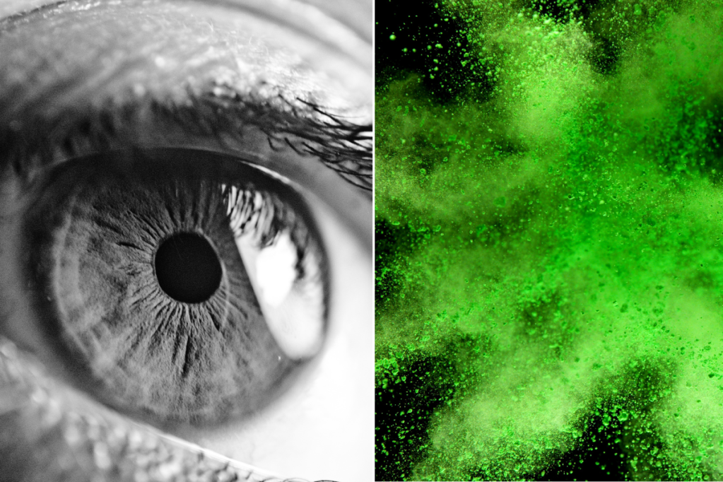 colors, science, research, green, blue, color wheel, light, physics, color blind