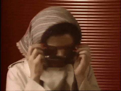 gif, hide, imposter, joke, prank, funny