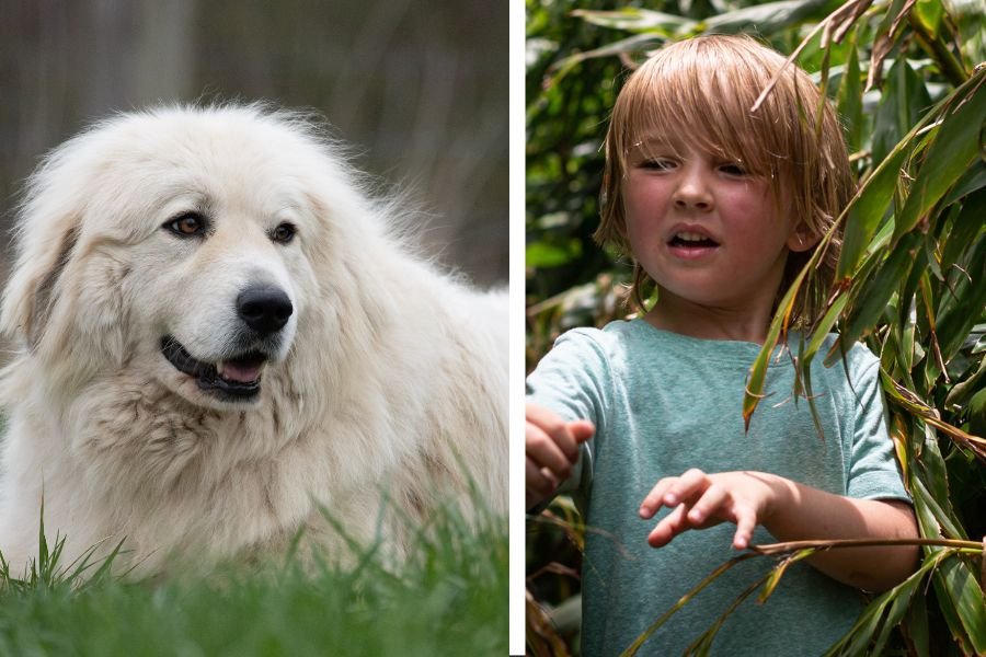 Hero dog rescues missing toddler who had wandered 7 miles from home in ...