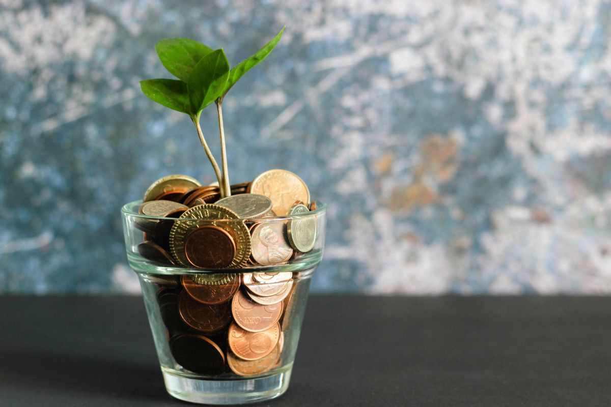 Money, tree, financial responsibility, independence, financial literacy