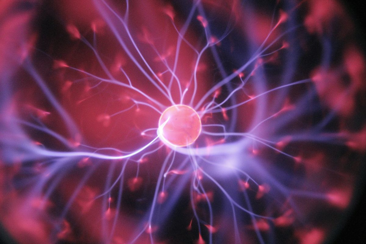 Brain, neurons, synapses, firing, creativity