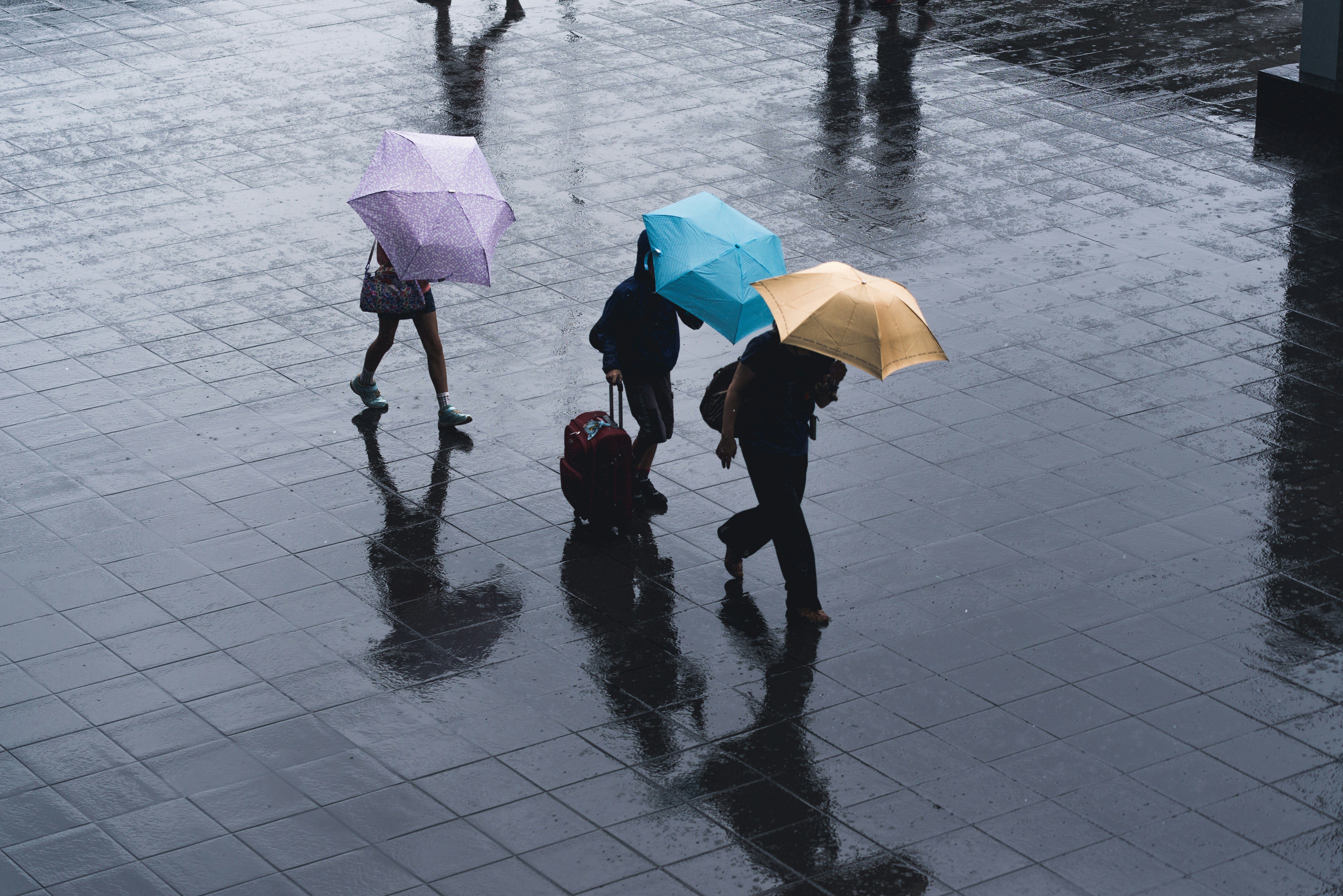 Three people with umbrellas walk in the rain