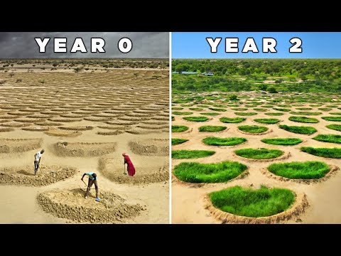 side by side image of half moon pits in the desert and the pits filled with vegetation