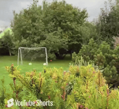 phone scams, robocall, robocall blocker, roboblock, cyberfraud