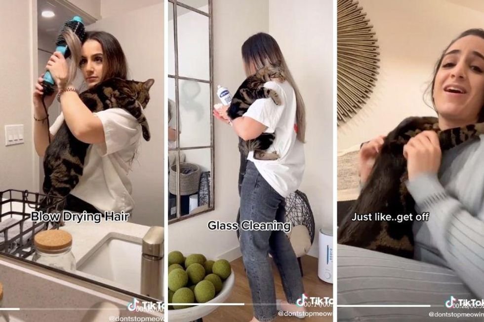 woman, cat, couple, pet owners, clingy cat