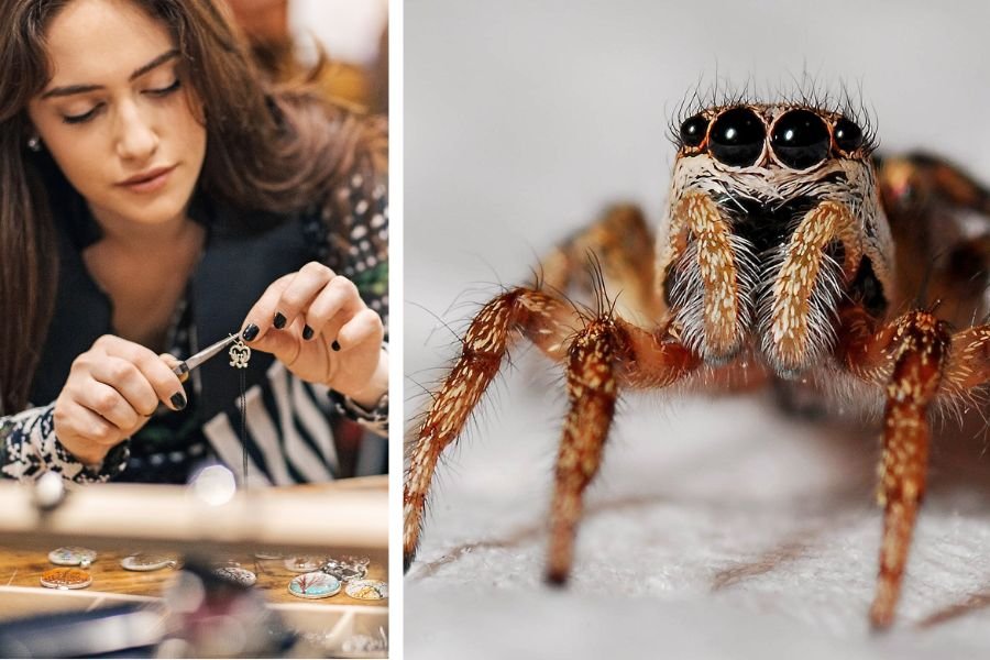 Woman befriends spider living in her mobile home and even builds it a tiny house