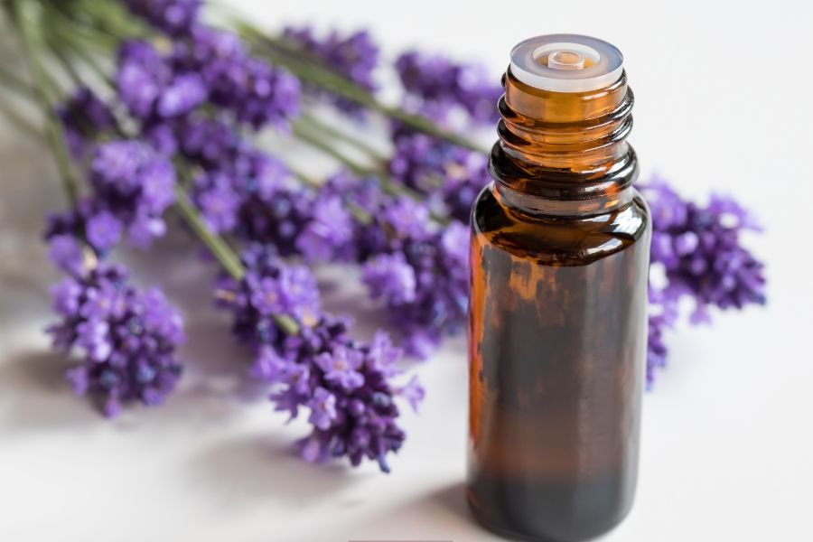 flies; summer; summer pests; get rid of flies; keep flies out; insects; summer activities; summer fun