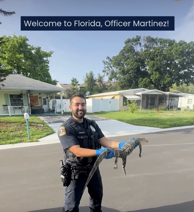 florida, florida gator, new york vs florida, cops, funny videos, funny police videos, wholesome