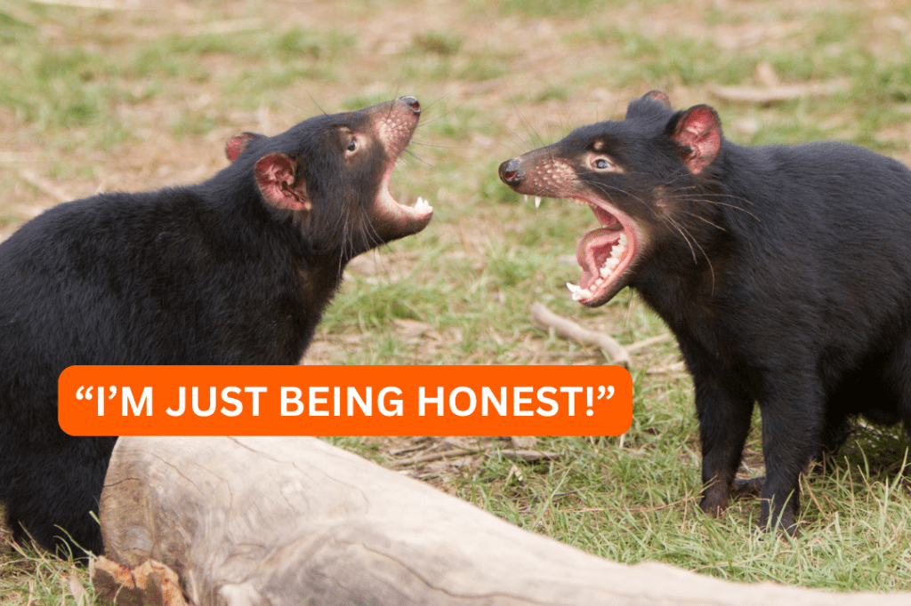 arguing, yelling, miscommunication, rude, social skills