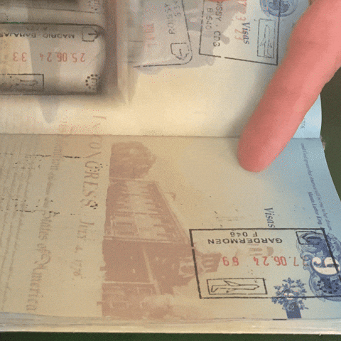 passport, passport stamp, travel, traveling, international travel